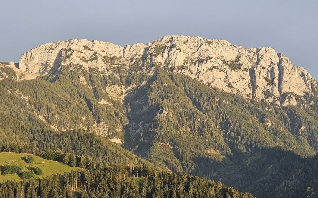 Stene Raduhe prepredene z vrvmi